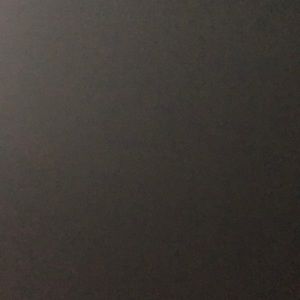 Meet your Posher, Lilly